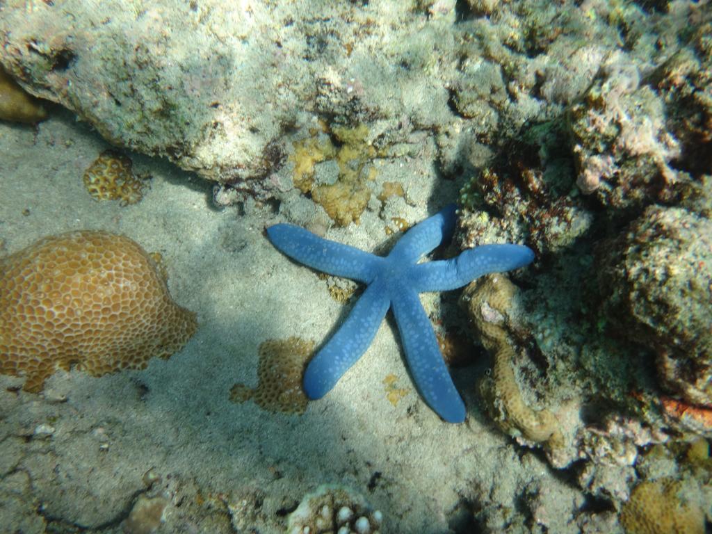 Wera Beach Kadumbul Екстериор снимка
