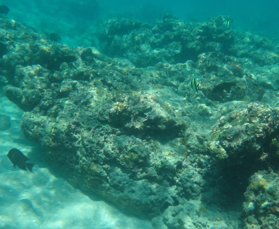 Wera Beach Kadumbul Екстериор снимка