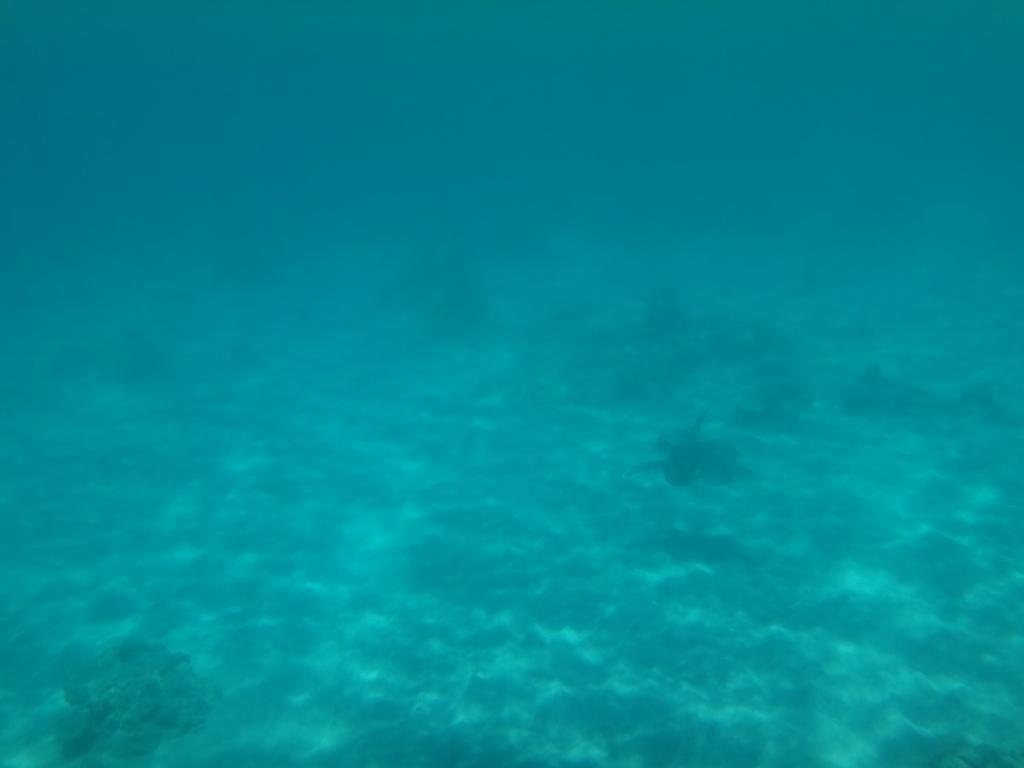 Wera Beach Kadumbul Екстериор снимка